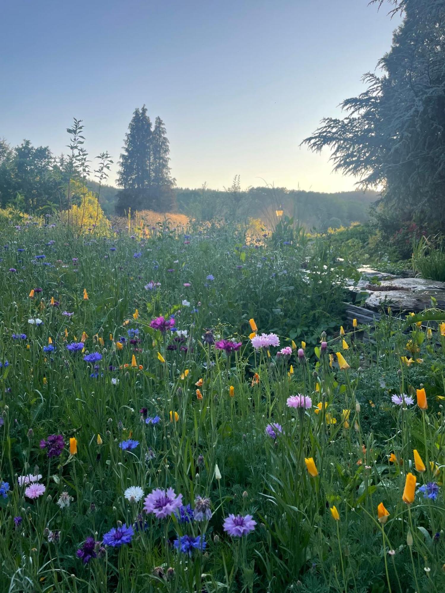 Domaine De L'Ardoisiere Villa Alle Exteriör bild