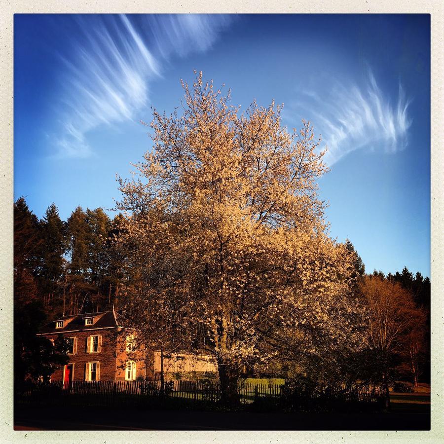 Domaine De L'Ardoisiere Villa Alle Exteriör bild